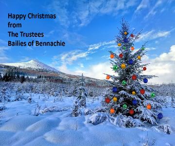 11 Christmas Image W Baubles And Greetingr1