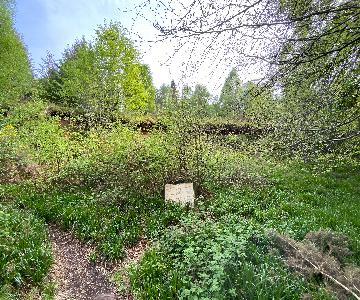 2024 05 20_work_party_macaulayite_quarry_img_1480 2
