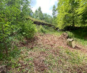 2024 05 20_work_party_macaulayite_quarry_img_1517