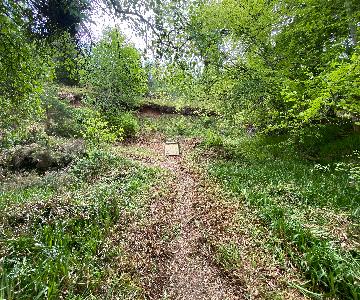 2024 05 20_work_party_macaulayite_quarry_img_1519