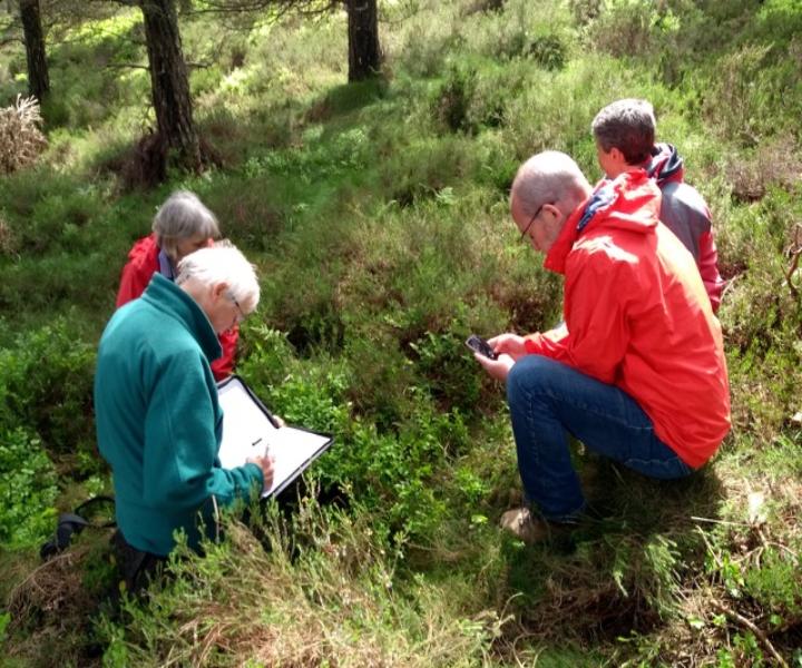 2024 05 25_wildlife_group_bioblitz_img_141635735.jpeg