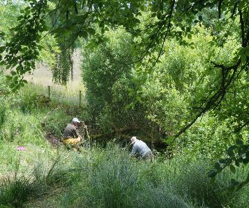 2024 07 09_dig_24_dsc08304