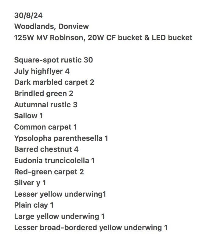 2024 08 31_donview_moths_&_butterflies_30th
