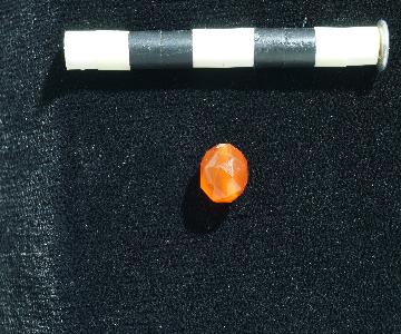 2024 11 25_dig_2024_summary_dsc01105