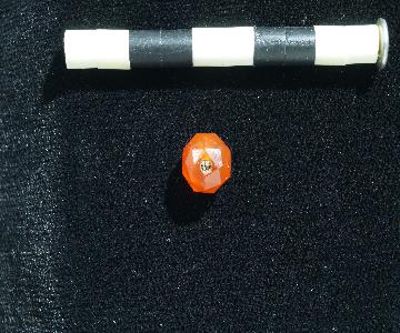 2024 11 25_dig_2024_summary_dsc01106