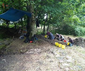 2024 11 25_dig_2024_summary_dsc08679