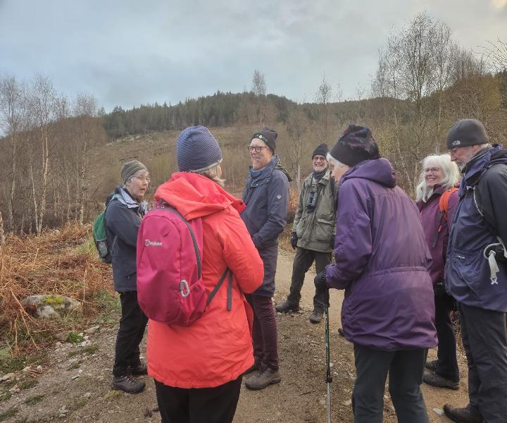 20240427_wildlife_ Dawn_chorus_group.jpeg
