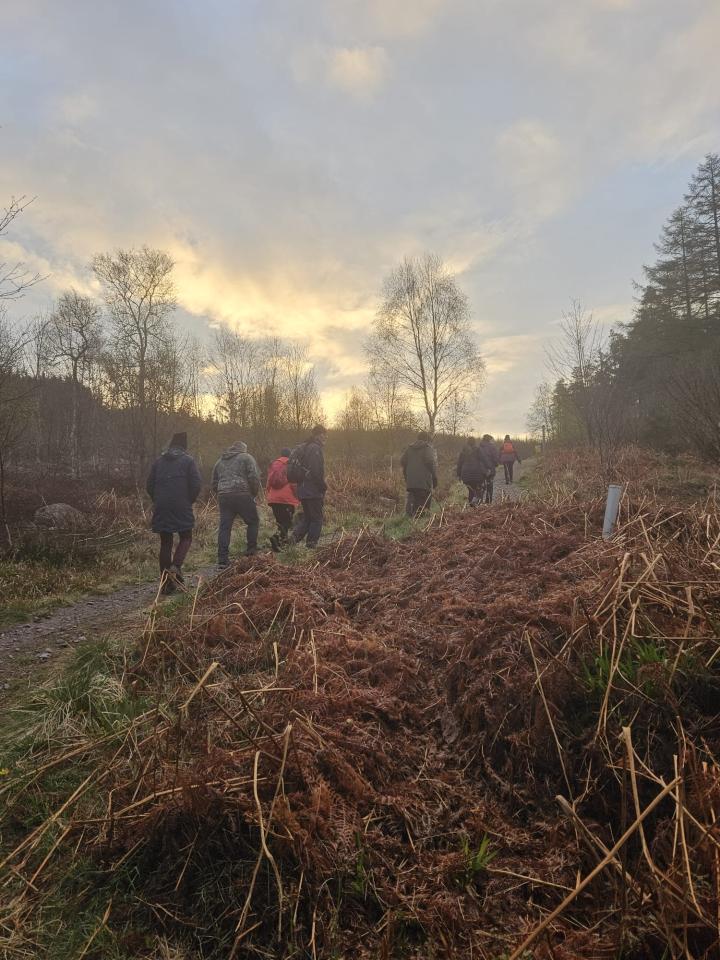 20240427_wildlife_dawn_chorus_sunrise_prt.jpeg