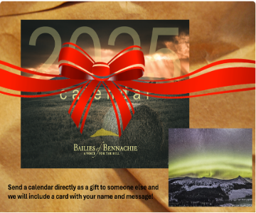 2025 Calendar As A Gift Image