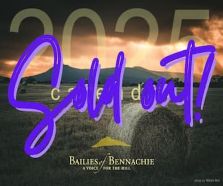 2025 Calendar Old Out R1