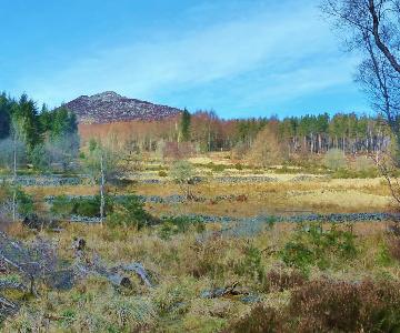 Bennachie Landscapes Project Photo 1