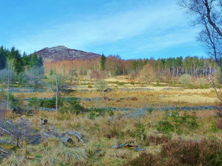 Bennachie Landscapes Project Photo 1