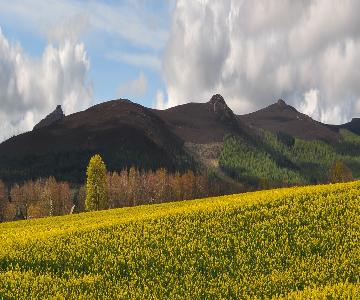 Bennachie