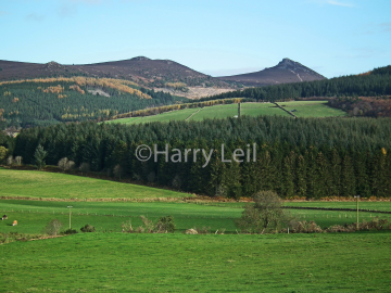 Bennachie from Rorandle.png