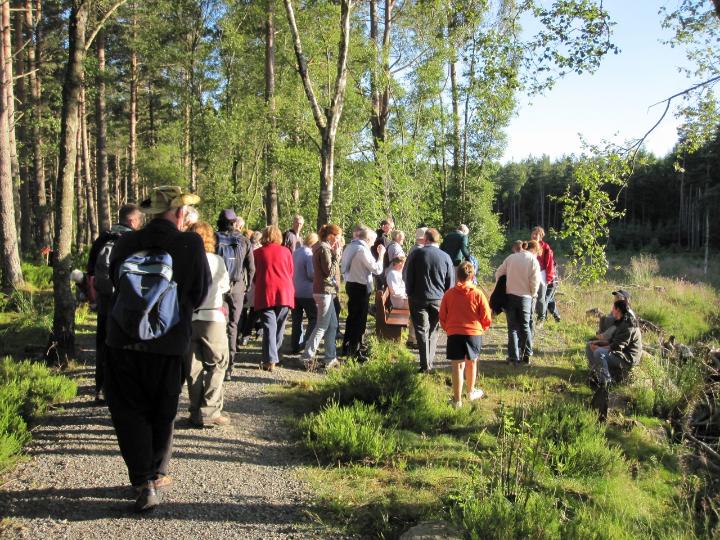 Bailies of Bennachie Colony Walk Thursday 22 July 2010