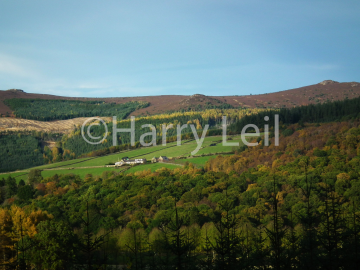 Looking towards Oxen Craig & Watch Craig from Rorandle.png