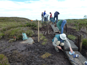 Millstone Hill Work Party (1) Sep 2012.png