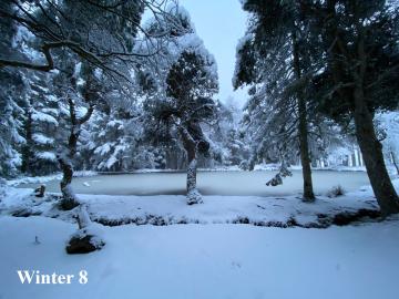 NC image0 curl pond Winter.jpeg