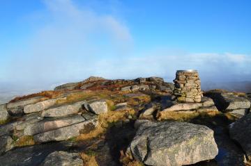 Oxen Craig Bennachie.JPG