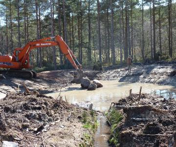 Wildlife Pond Update 2014