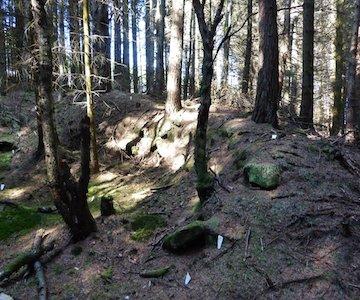 Bennachie Quarries