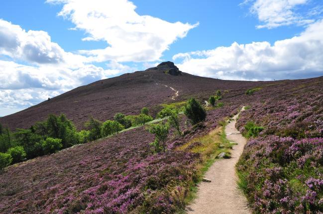 Path On Bennachie