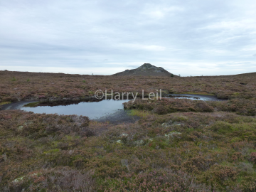 Pond on Bennachie.png