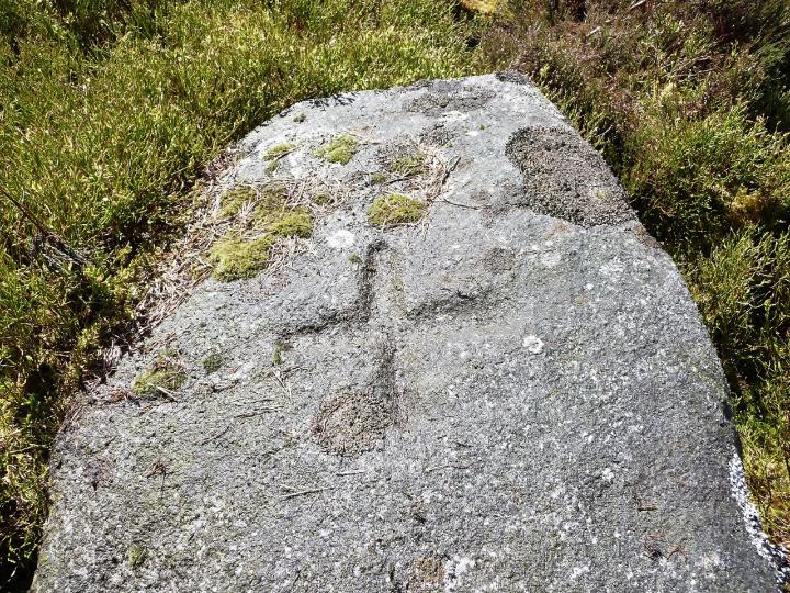 Sam1 Afforsk Stone