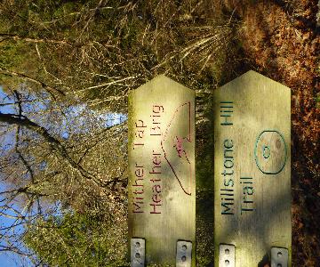 T3 Millstone Hill Trail