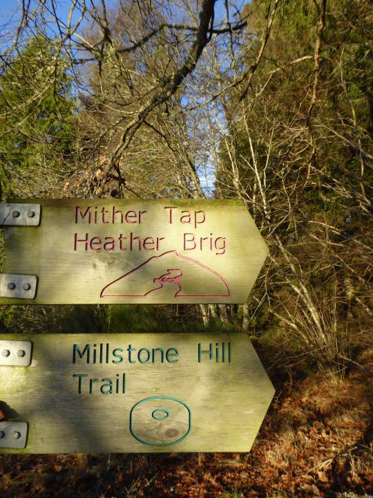 T3 Millstone Hill Trail