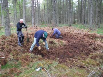 Uncovering the Hayrick.jpg