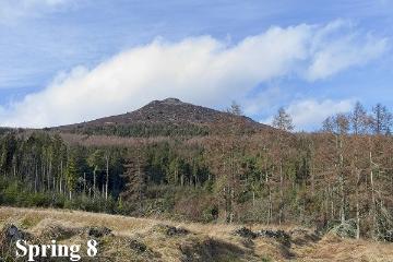 WG Bennachie 4 Spring