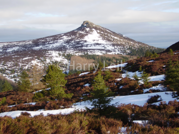 Wintry Bennachie.png