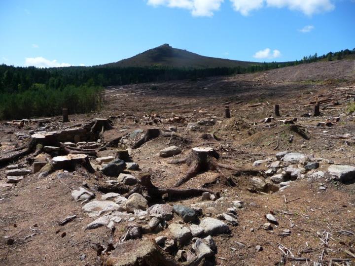 View from the site over to Mither Tap