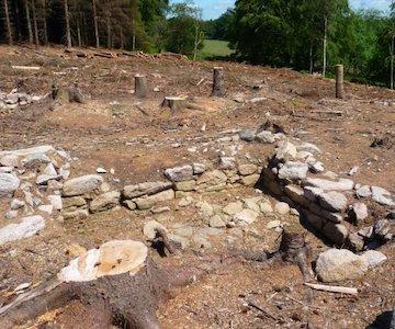 Bede House Deforestation2