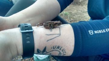 niamh with baby toad.jpg