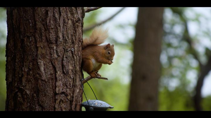 P.5 Still From Film. Picture Alex Thomson