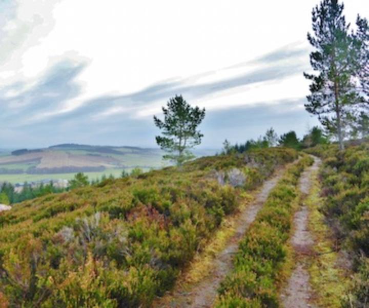 Quarries Bogs And Trackways R2