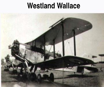 westland wallace.jpg Westland Wallace