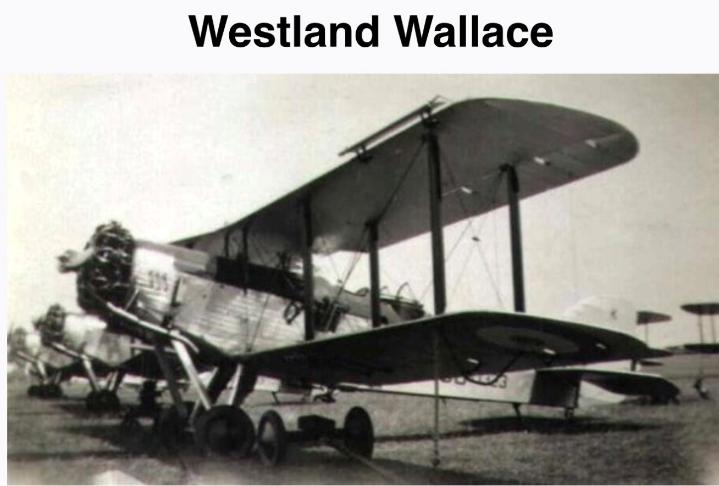 Westland Wallace